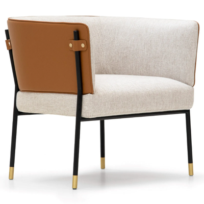 V243-Easy-chair-Aston-Martin-410592-rel17f6d25.jpg